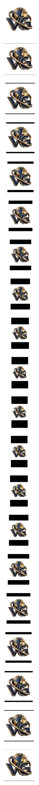 Valverde Group Inc. dimensional globe and VG emblem